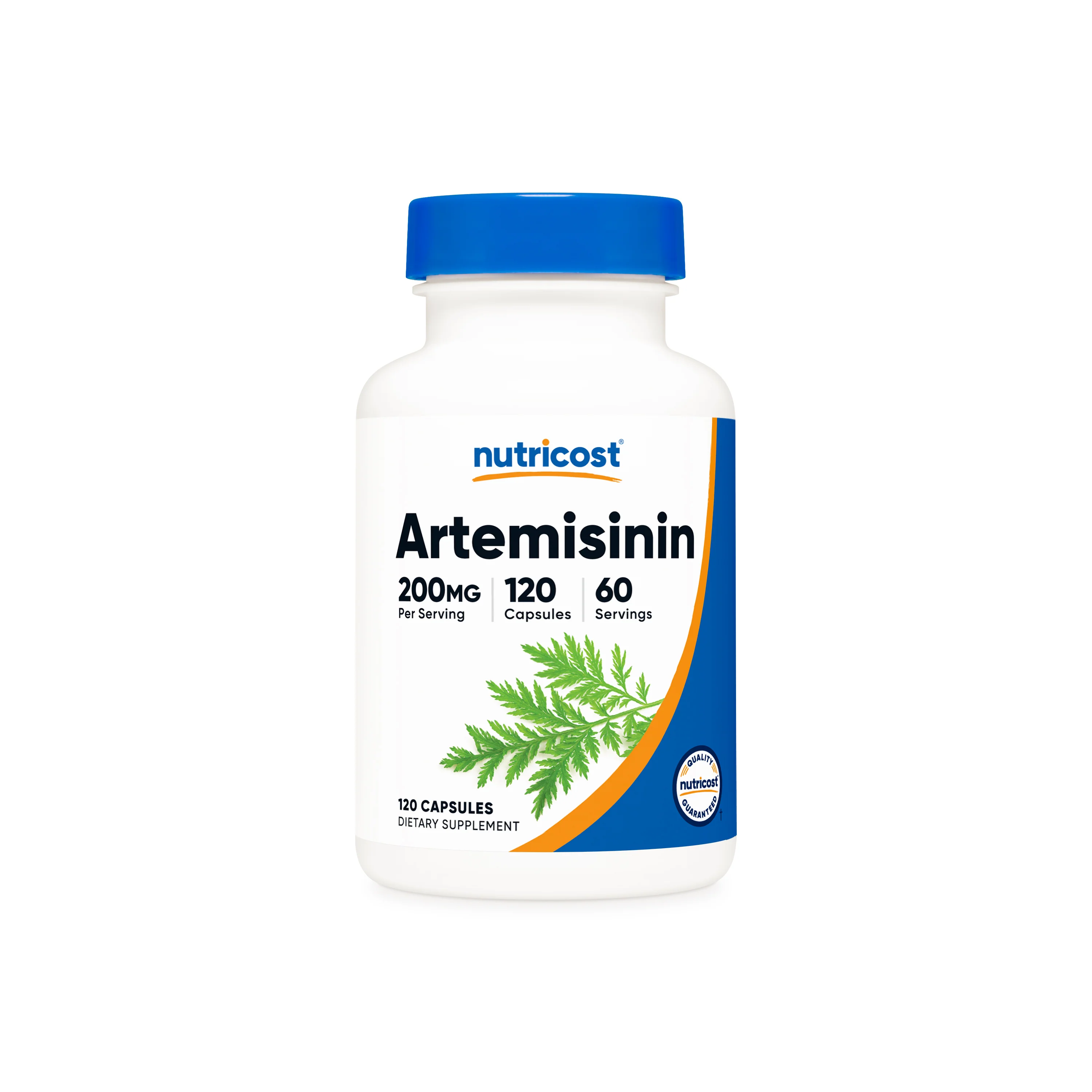 Nutricost Wormwood Capsules